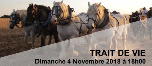 Bandeau - Traits de vie