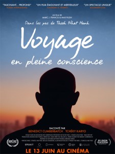 Voyage en pleine conscience - Affiche