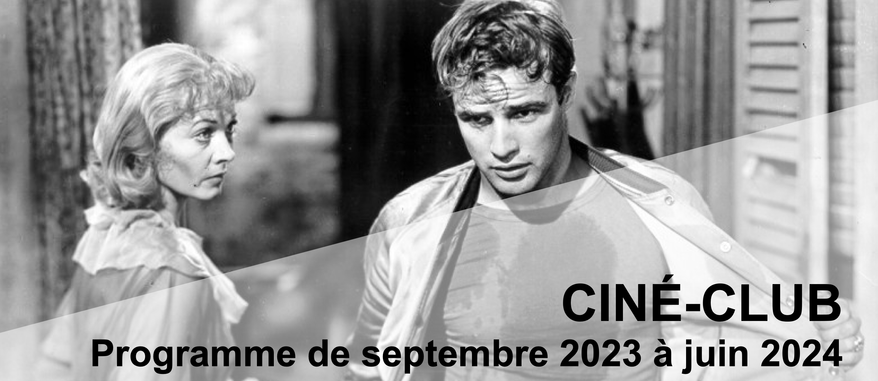 PANNEAU CC 2023 - 2024